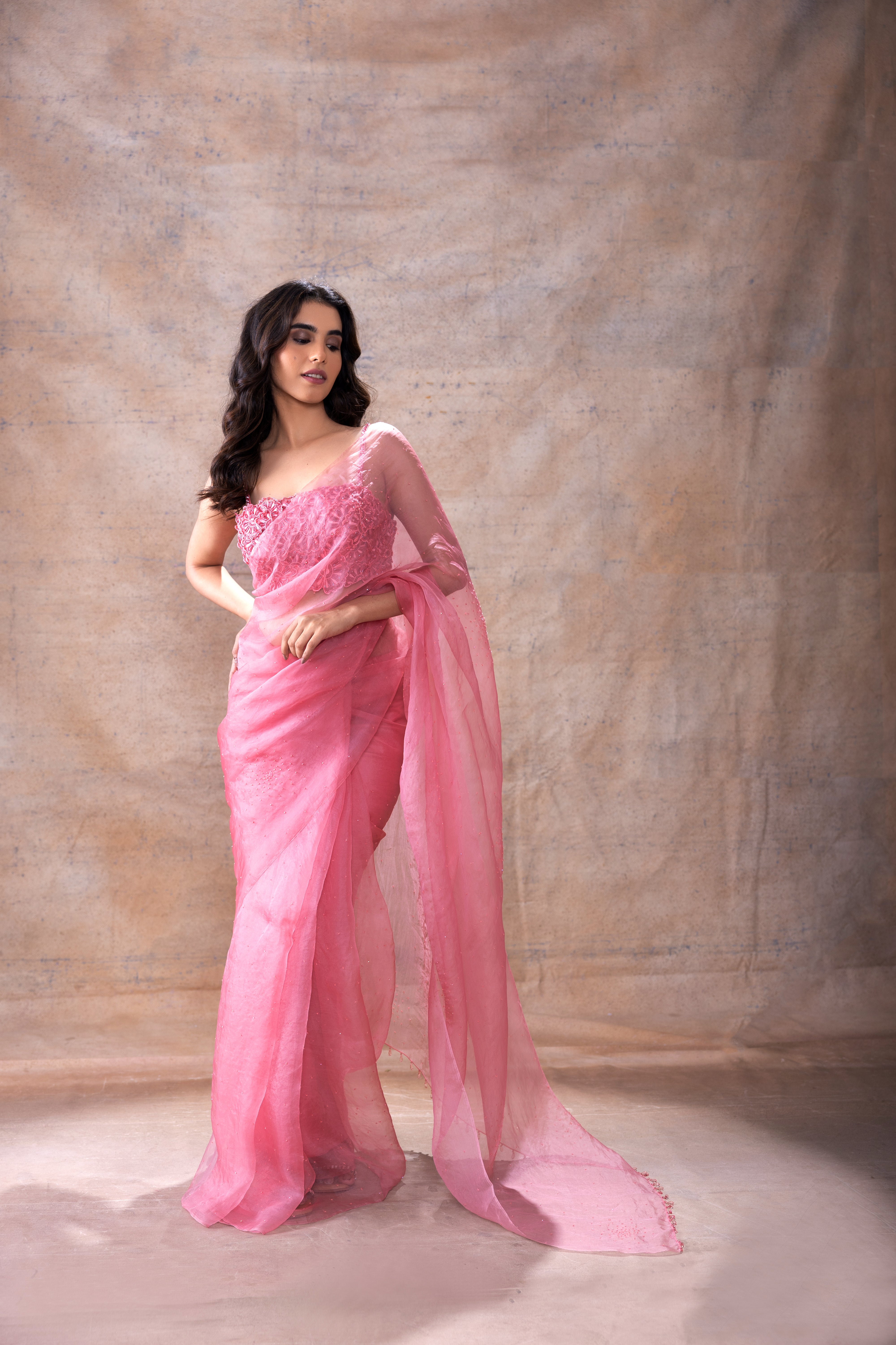 Embroidered blouse and organza saree
