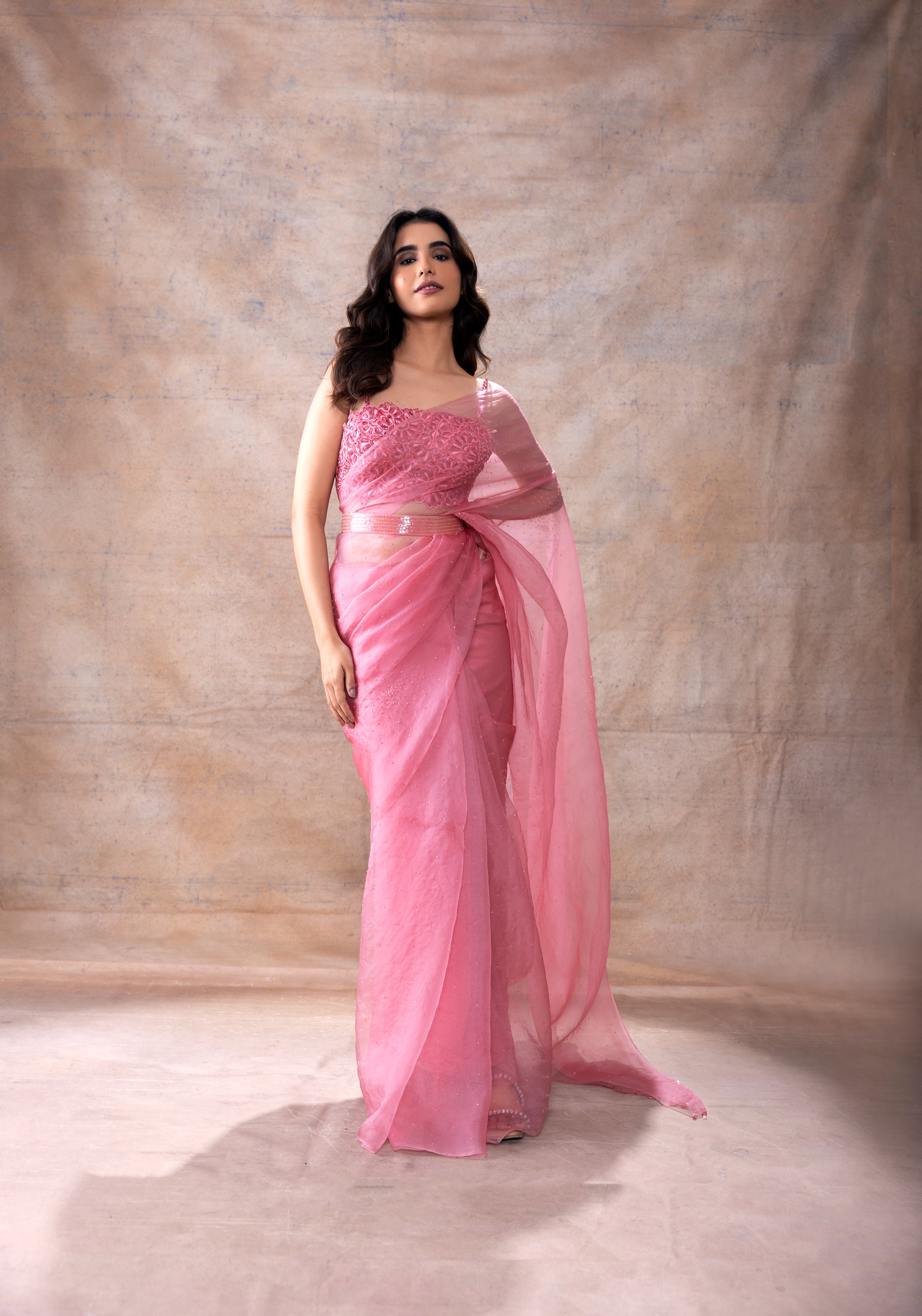 Embroidered blouse and organza saree