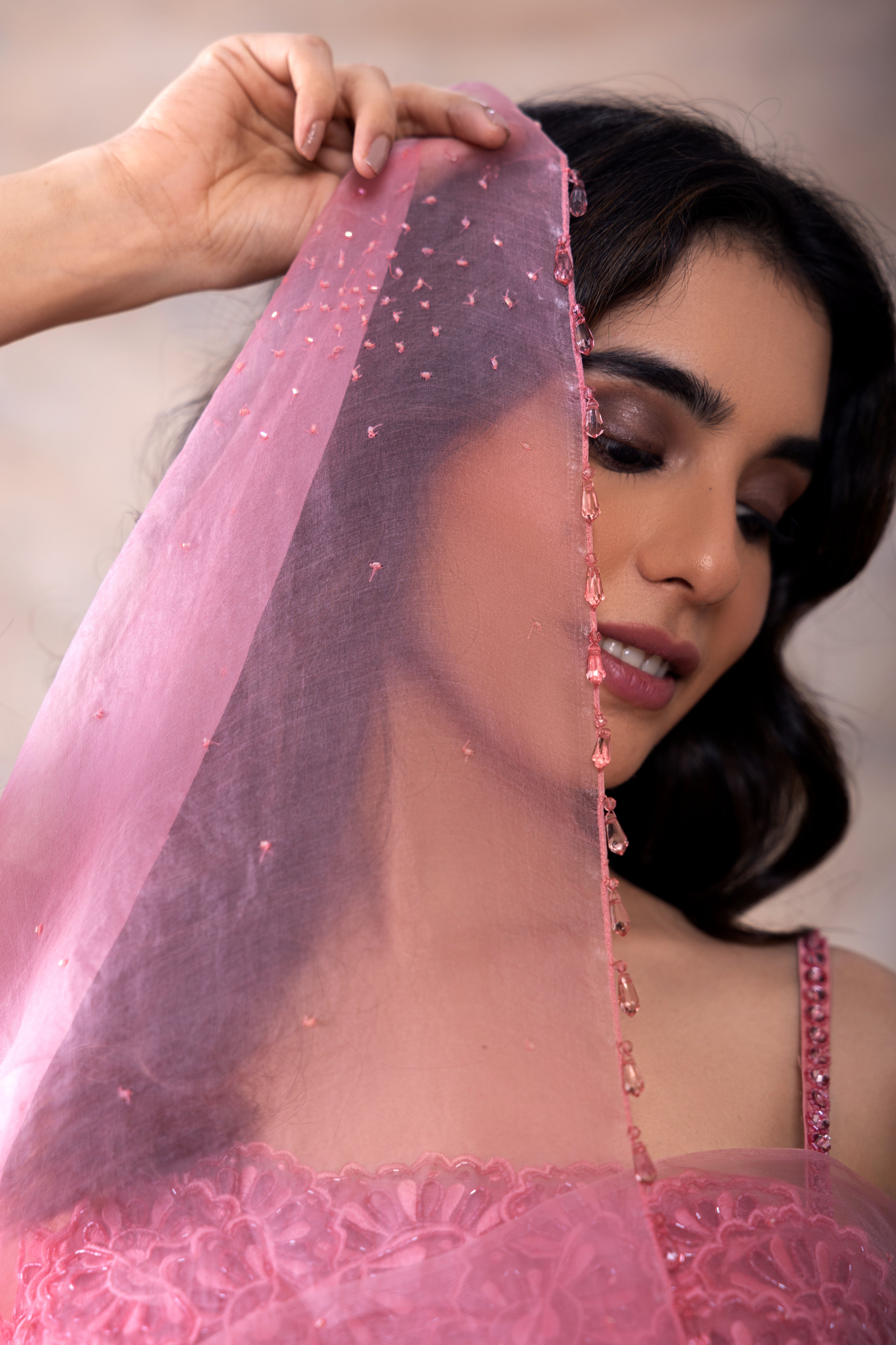 Embroidered blouse and organza saree