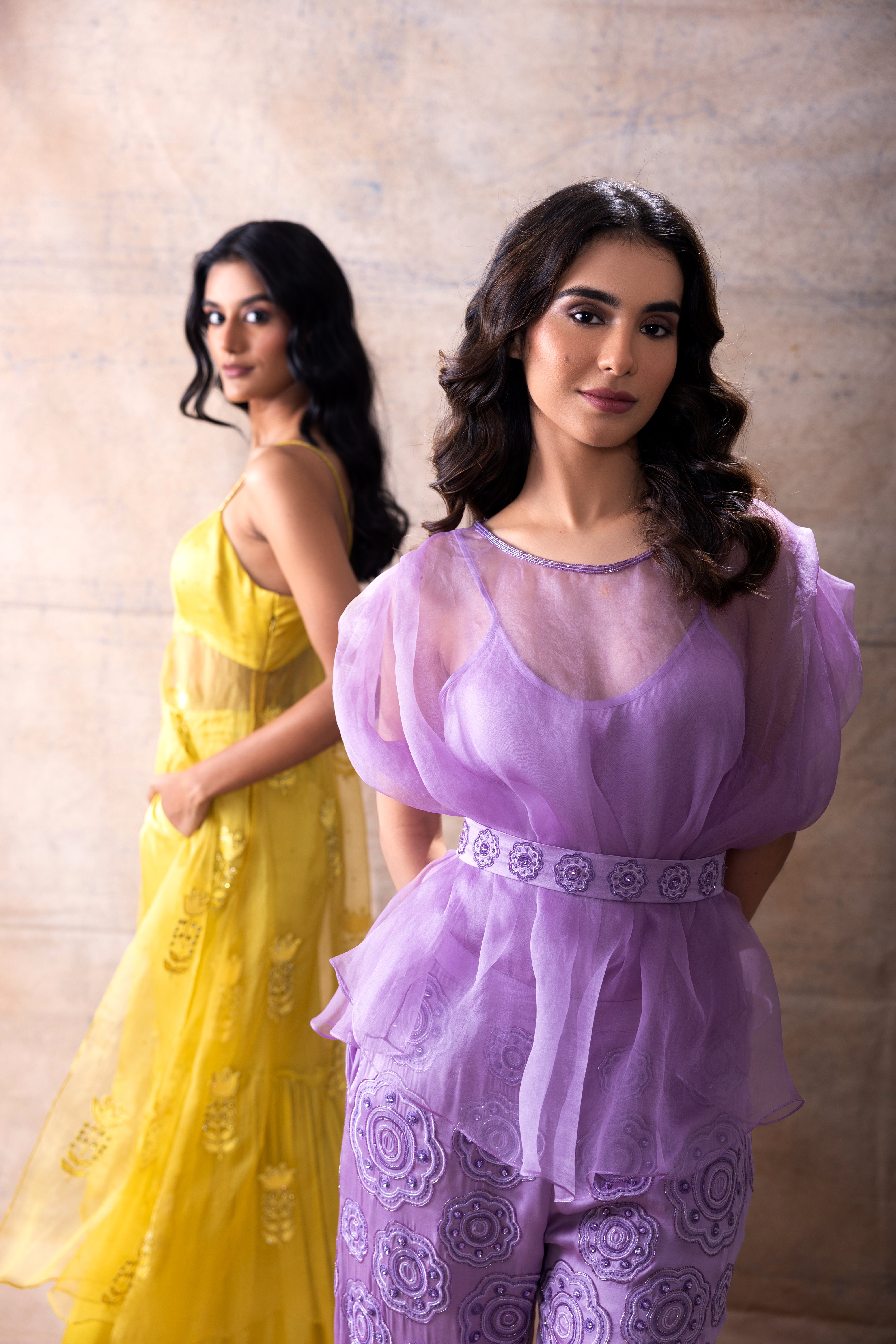 Organza top with Embroidered Pant set