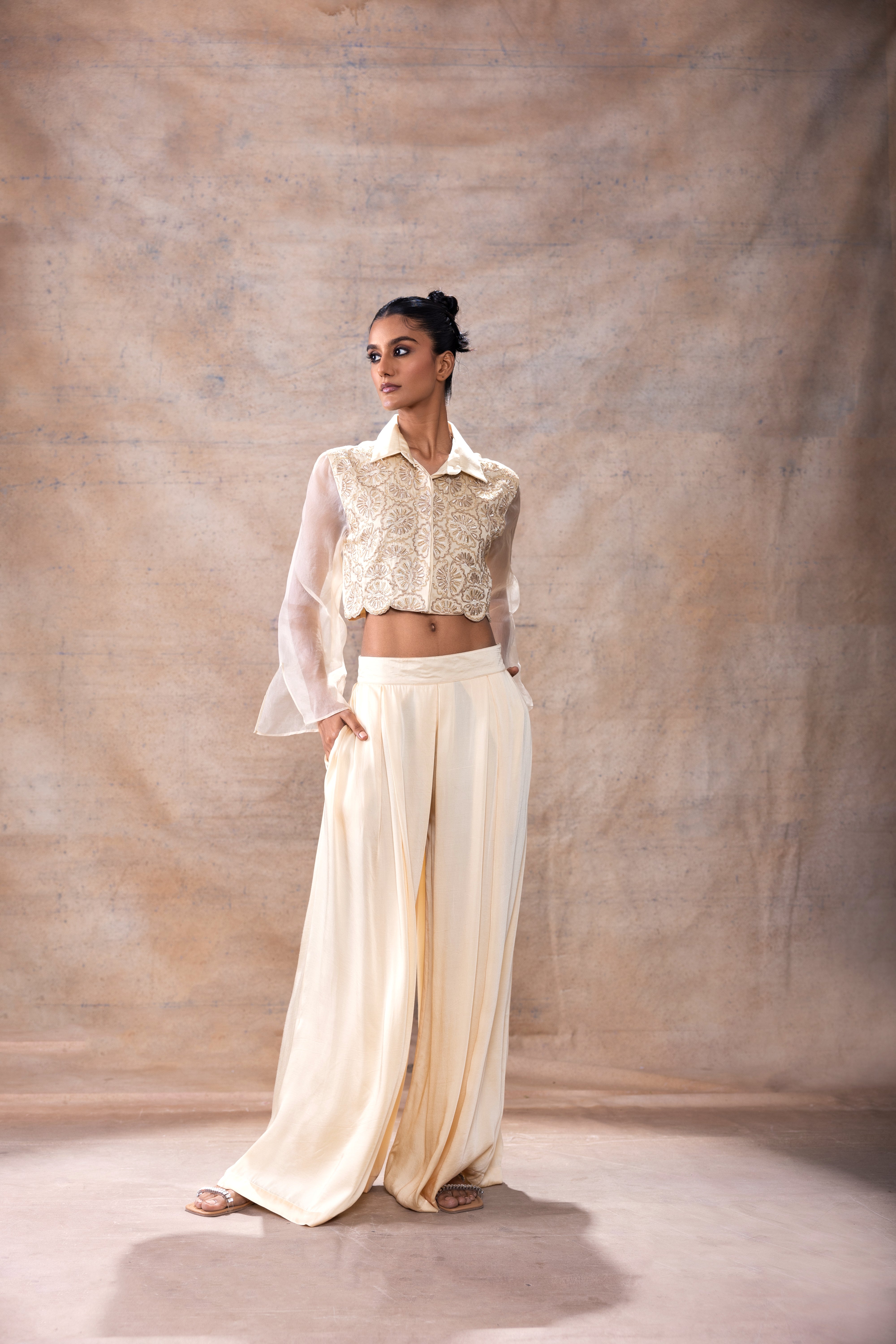 Emboridered Crop Shirt with flared pants set